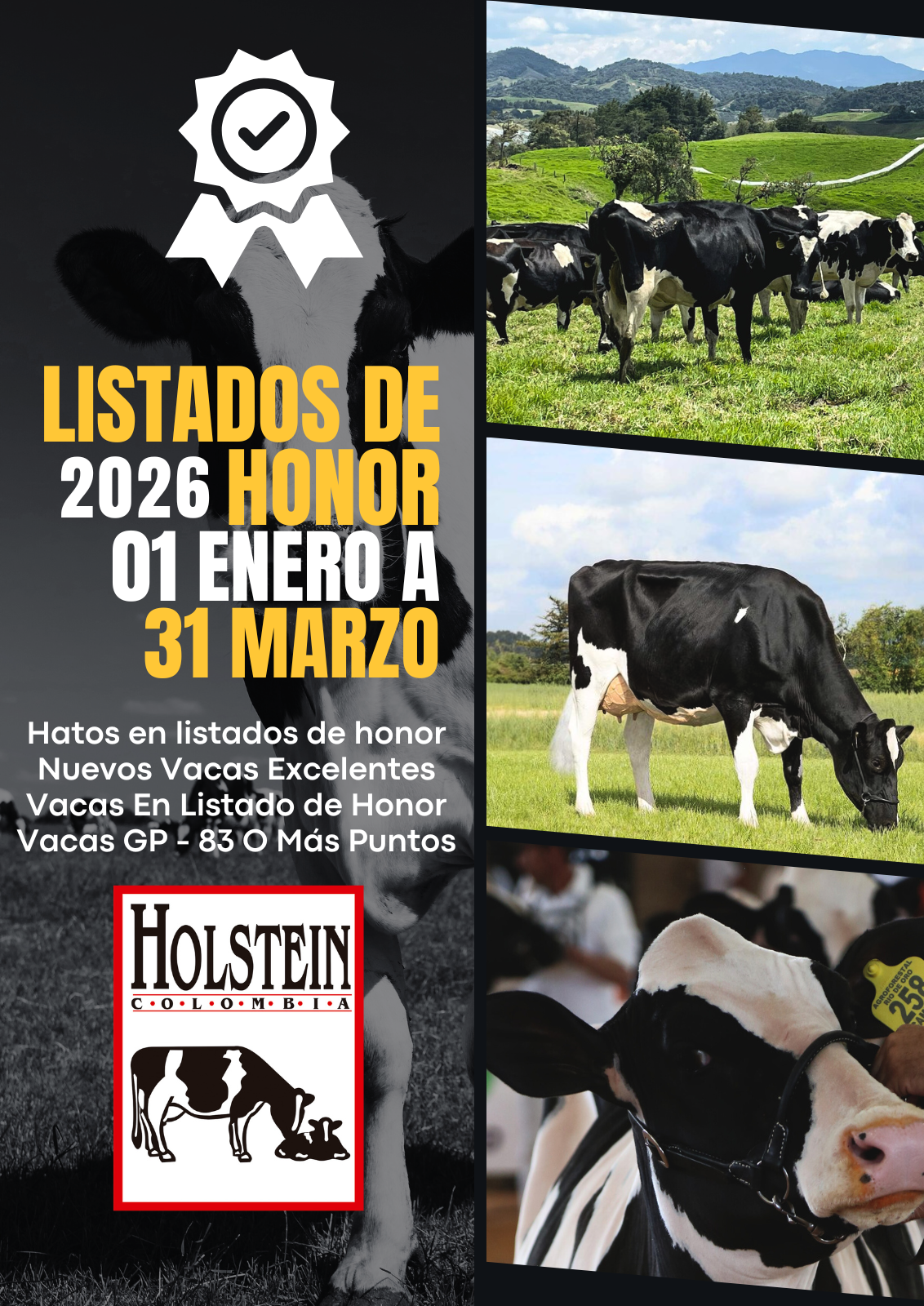 Listados de Honor Holstein